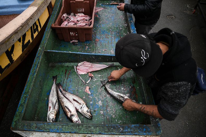 Pesca artesanal 2.jpg