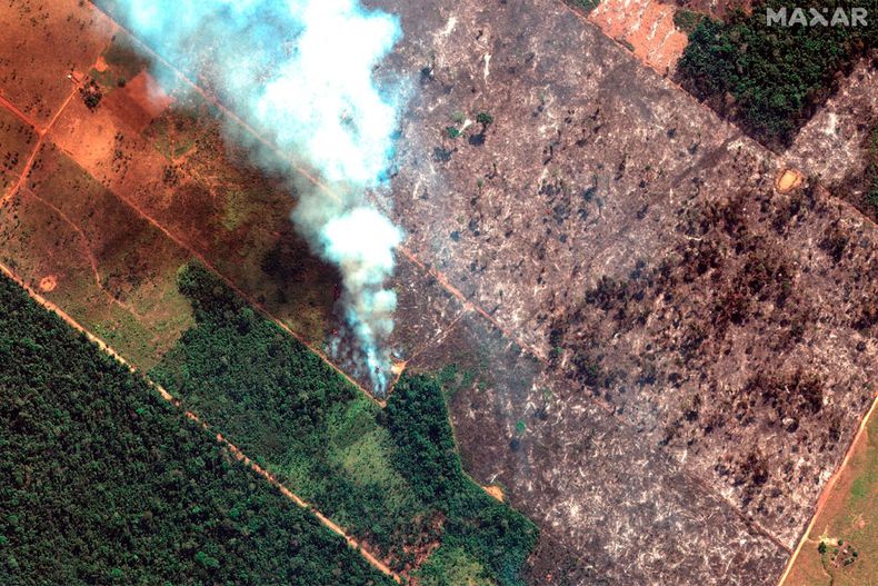 amazonas6.jpg