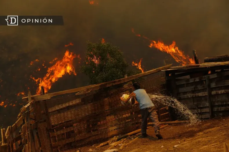 11445 imgen de los incendios en vina del mar el 2024.webp