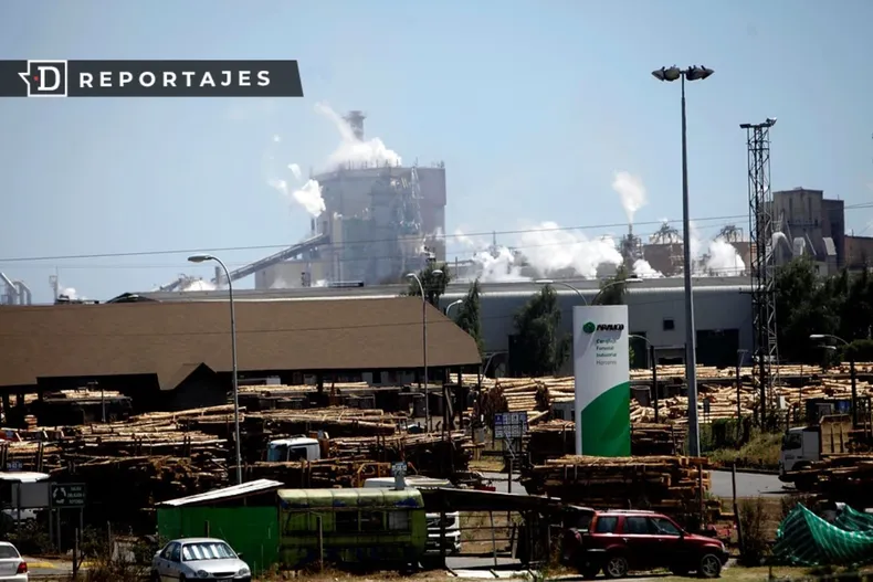 28258 forestal arauco 20260105 073926 0000.webp