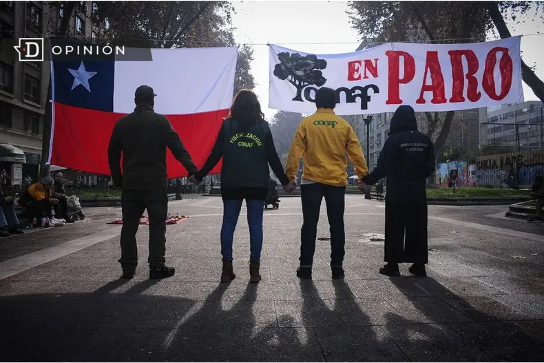 17320 paro de conaf.webp