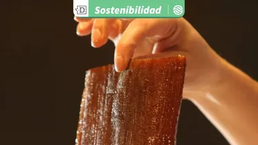 Yacaratiá: El árbol de madera comestible que brinda seguridad alimentaria al transformarse en dulces y conservas