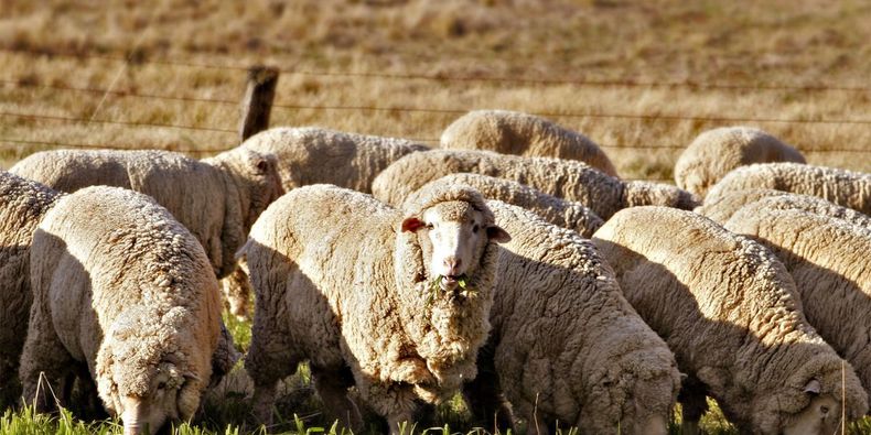 Diseño sin título (27)