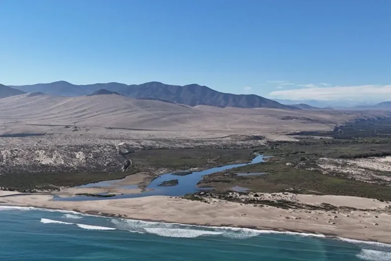 27634 diseno sin titulo 22.webp