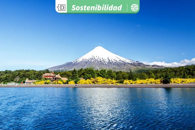 28102 diseno sin titulo 2025 12 30t130000.webp