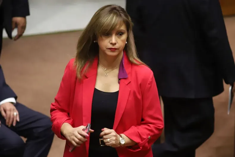 10271 senadora loreto carvajal ppd.webp