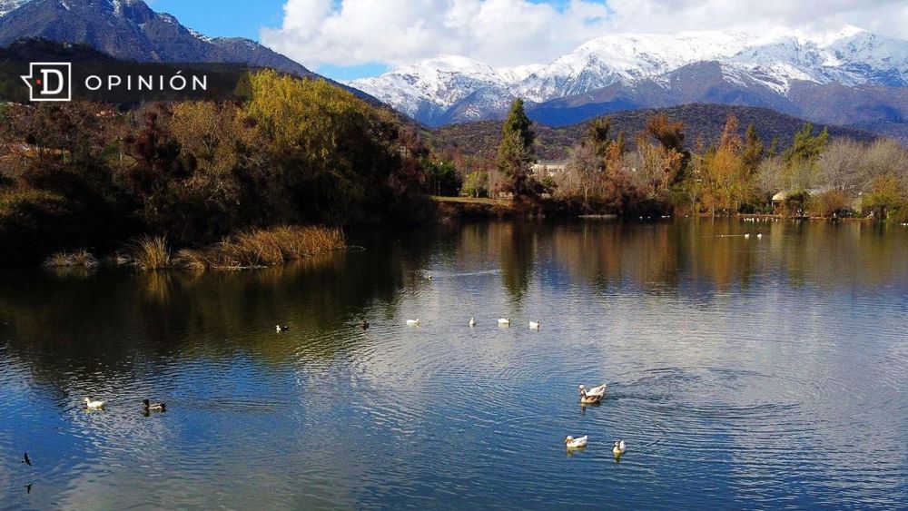 El freno que no acelera: Cuando lo más revolucionario es preservar