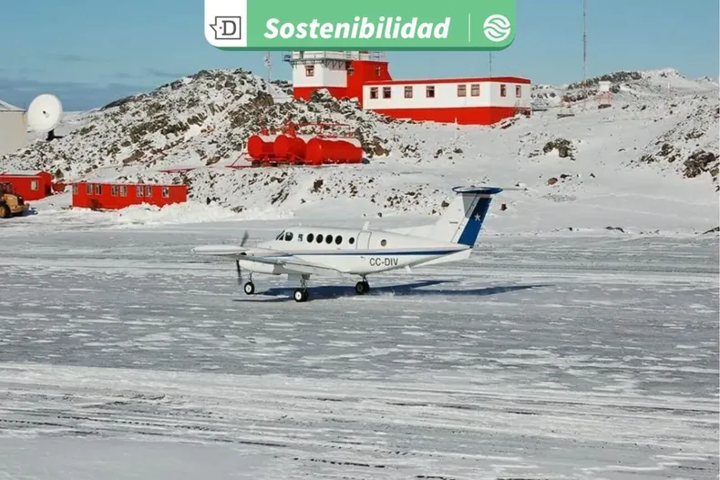 24425 diseno sin titulo 2025 10 20t112634.webp