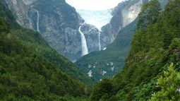 La caminada por la Patagonia entre malezas, plantas y flores que enseña de medicina natural