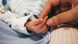 Demuestran que esperma congelado logra mismos resultados in vitro que el fresco