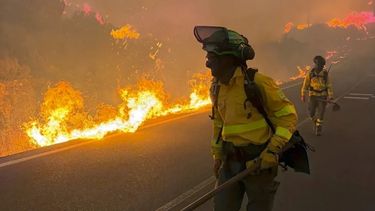 Incendios forestales arrasan con bosques y zonas residenciales - Agencia EFE