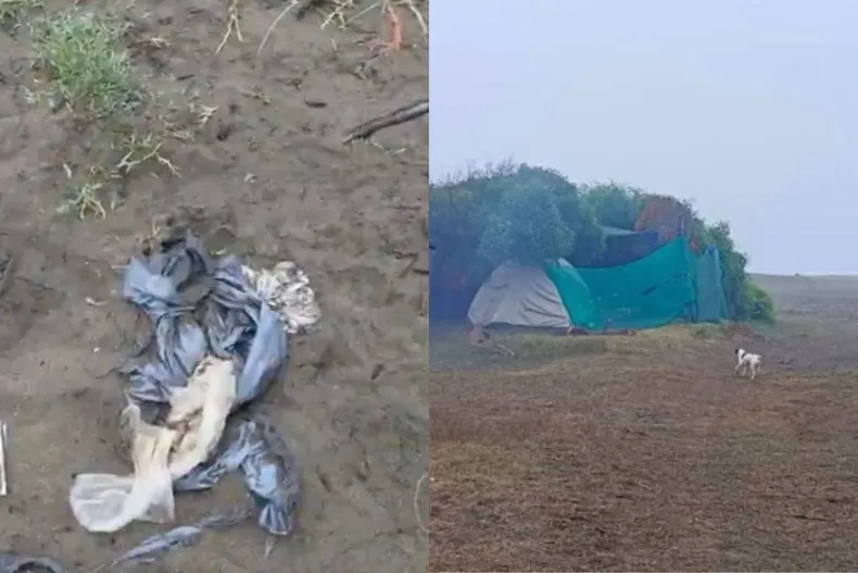 29313 diseno sin titulo 47.webp