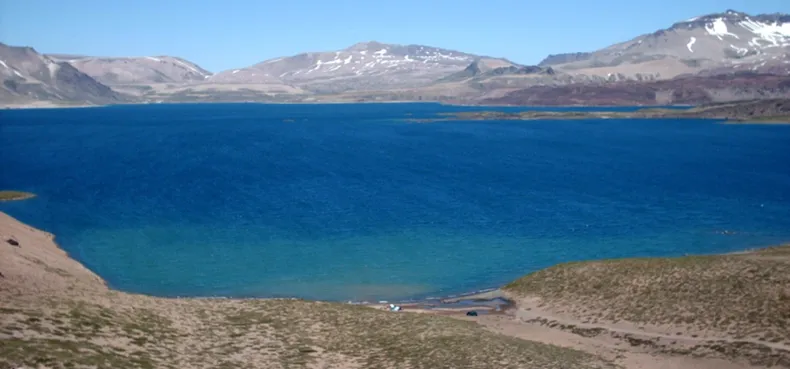 17809 enjambre laguna maule.webp