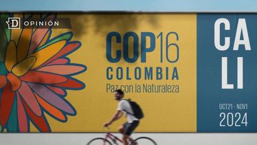 El Desconcierto | 7487 imagen de un anuncio de la cop16.jpg