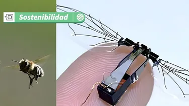 ¿Ciencia ficción o innovación?: Ingenieros del MIT desarrollan “abejas robóticas” con la intención de ayudar a polinizar