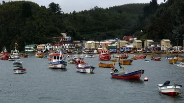 Nuevas pesquerías a más de 5.000 embarcaciones: Gobierno acoge solicitud de la pesca artesanal