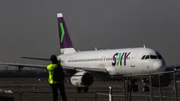 Sernac pidió a Sky, Latam y Jetsmart notificar sus políticas de transporte de animales tras denuncia ciudadana