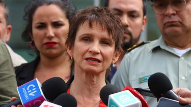 El Desconcierto | Toha confirma presentacion de proyecto sobre reglas de uso de la fuerza para policias.jpg