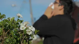 ISP retira del mercado medicamento contra la alergia en medio del alza de molestias durante primavera