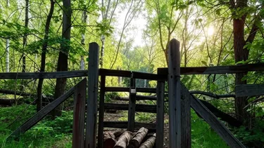 Quedó aislada después de que su vecino bloqueara con árboles y escombros el único acceso a su casa: Suprema ordena reabrir