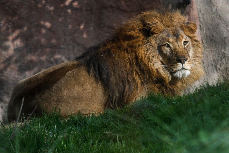 20304 a uno 1287281.jpg