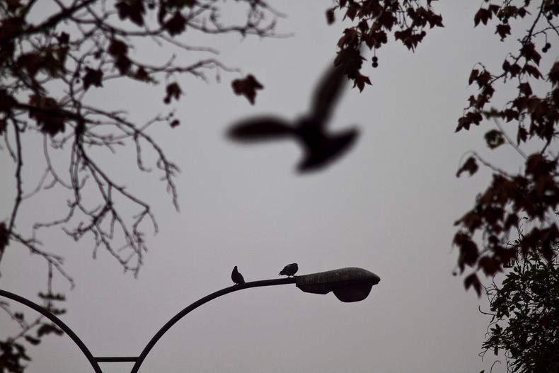Cortes de luz en Santiago de hoy domingo 26 de abril - Agencia Uno