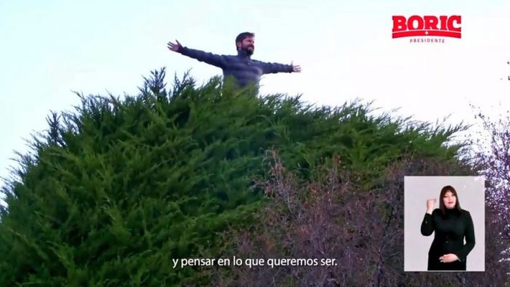 El árbol o la zanja