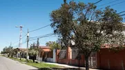 vecinos de lo espejo se adaptan al cambio climatico mediante alianza que aumenta las areas verdes con innovacion urbana