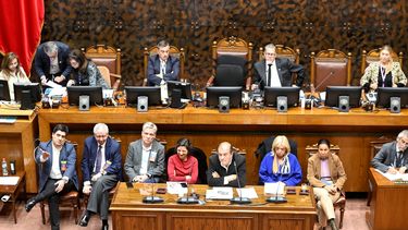 El Desconcierto | 17113 senadomarzo2025.jpg