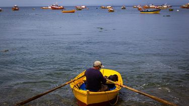 Corte Suprema confirma multa para embarcación por pescar en zona exclusiva de pesca artesanal