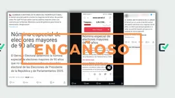 Servel no ha excluido a los adultos mayores de 90 años de las Elecciones Presidenciales