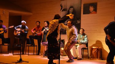 Panorama navideño: Museo Violeta Parra dará recital gratuito con villancicos tradicionales a la chilena