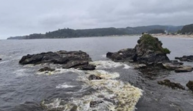 Captura de Pantalla 2022 01 29 a las 15.30.17 e1643481507986.png