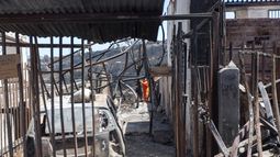 Reparación emocional post incendios: Cómo enfrentarla y de qué manera abordar a los niños