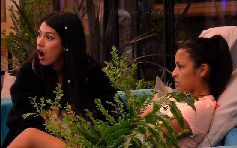 gran hermano 1.jpg