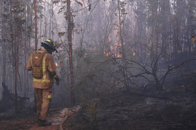 Incendios forestales.jpg