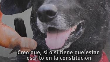 El Desconcierto | 12.jpg