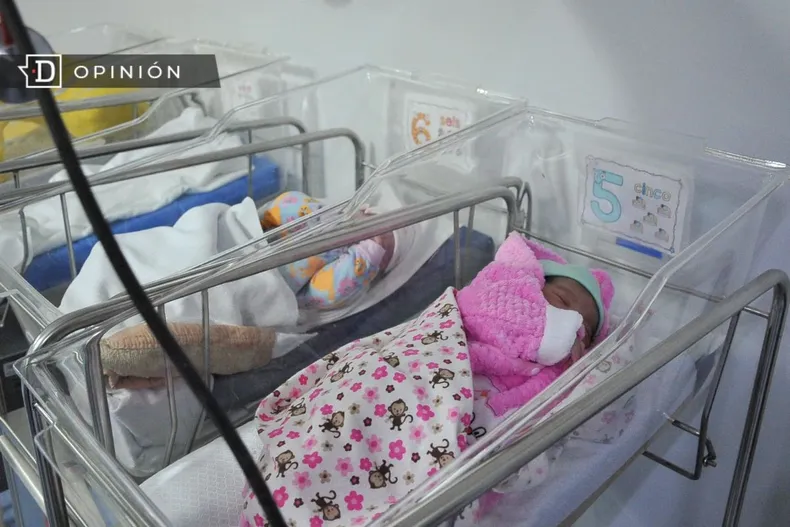 25645 bebes en un hospital.webp