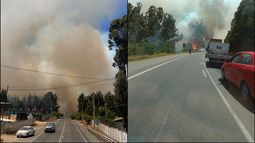 Alerta Roja en Quilpué: Incendio forestal de rápida propagación obliga a evacuar vía Alerta SAE