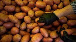 IPC entrega buenas noticias: Variación de agosto es menor a esperada por expertos
