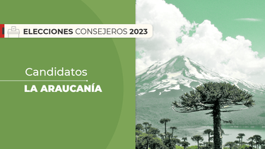 La Araucanía: Quiénes son los candidatos al Consejo Constitucional en la región