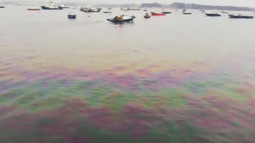 VIDEO| Pescadores de Quintero denuncian evidente contaminación del mar
