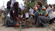 plantan bosques nativos en el patio de escuelas de santiago para innovar la educacion ambiental