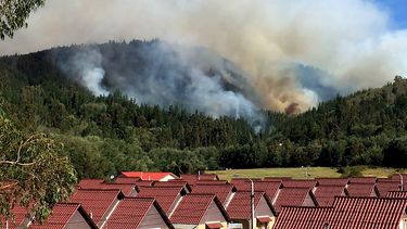 Tres brigadistas de la Conaf fallecieron combatiendo incendio en Vichuquén