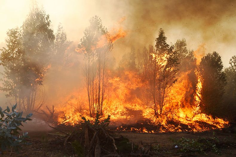 incendio1.jpg