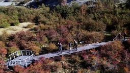Reciclan 9 toneladas de plástico para equipar un sendero en el corazón de Torres del Paine