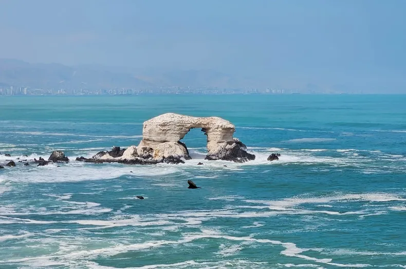 13373 antofagasta.webp