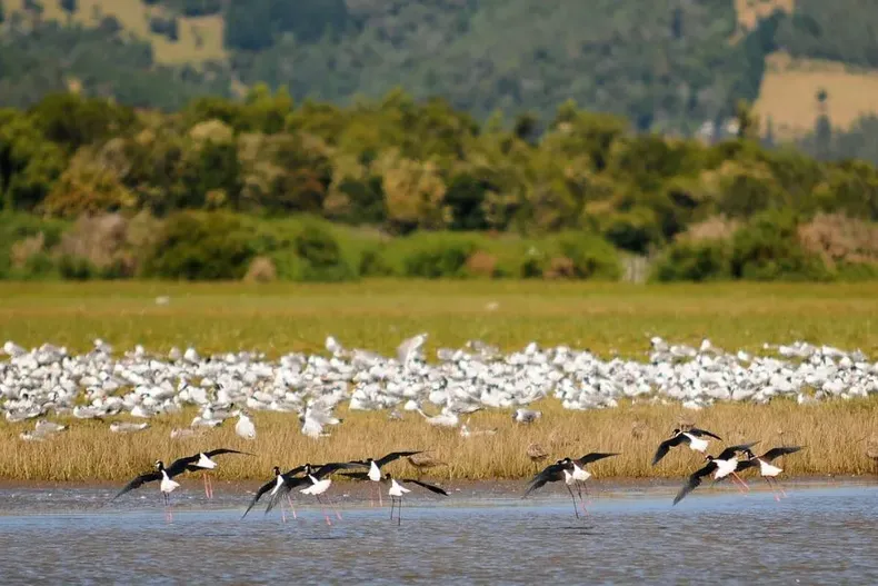 10747 7humedales.webp