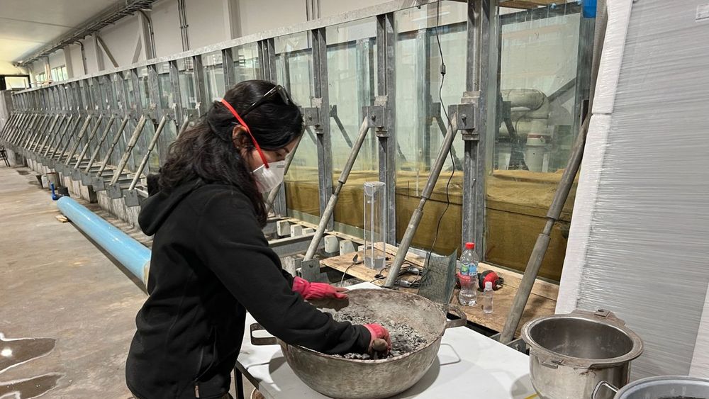 Investigadora UCSC busca utilizar conchas de mitílidos para una infraestructura costera más sostenible