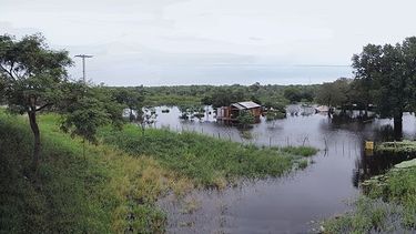 Miles de peces muertos inundan río de Paraguay por presunto efecto de vertidos ilegales
